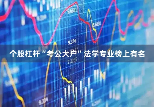 个股杠杆“考公大户”法学专业榜上有名