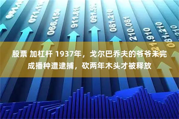 股票 加杠杆 1937年，戈尔巴乔夫的爷爷未完成播种遭逮捕，砍两年木头才被释放